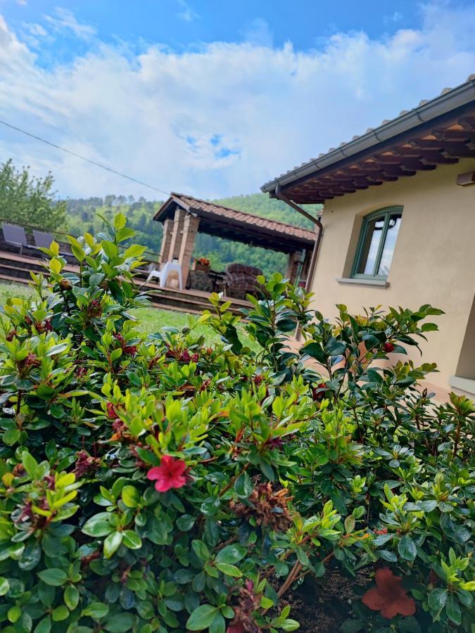 Villa Giulia Fashion B&B Strada in Chianti Luaran gambar